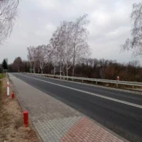 Zabezpieczenie osuwiska wraz z rozbudową drogi w ciągu DW 977 w m. Nowodworze - zdjęcie w galerii nr 16