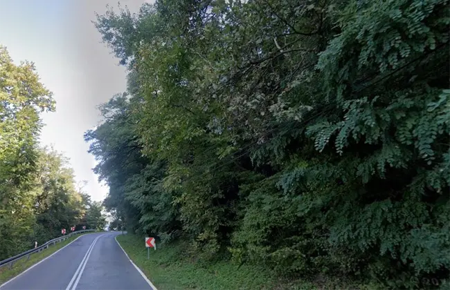 Ochrona zboczy w zgodzie z naturą